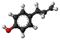 Ball-and-stick model of the chavicol molecule