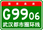 G9906