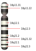 18號染色體