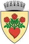 Coat of arms of Miercurea-Ciuc