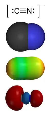 Space-filling model of the cyanide anion: carbon bound to smaller nitrogen atom