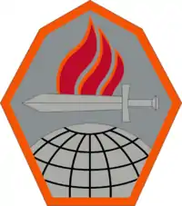 Official Shoulder Sleeve Insignia of the US Army Cyber Center of Excellence