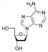 structure chimique de la désoxyadénosine