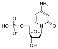 Chemical structure of deoxycytidine monophosphate