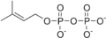 二甲基烯丙基焦磷酸（Dimethylallyl pyrophosphate, DMAPP）