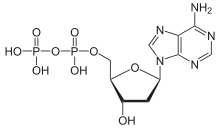 Skeletal formula of adenosine diphosphate