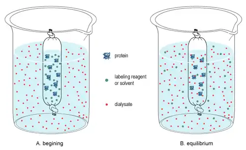 小分子渗析使用透析管