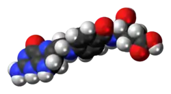 Space-filling model of the dihydrofolic acid molecule