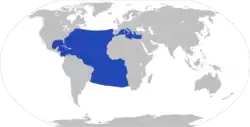 Distribution of Tremoctopus violaceus