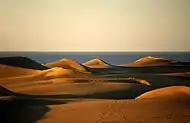 马斯帕洛马斯沙丘（Dunas de Maspalomas）