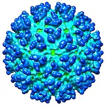 CryoEM model of "Western equine encephalitis virus", 12Å resolution.