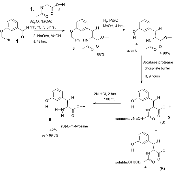 ErlenMeyer氨基酸合成 例子