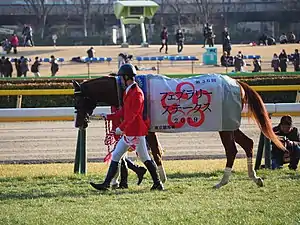 2019年冠軍「日輪之神」