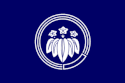 Flag of 川口町