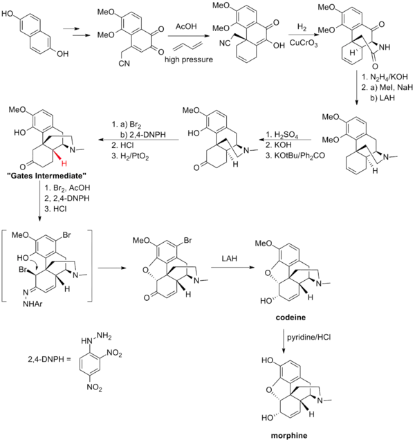 The Gates synthesis