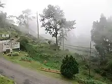 太平山路