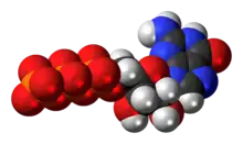 Space-filling model of the guanosine triphosphate anion