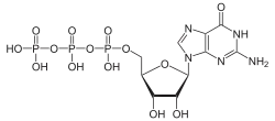 Skeletal formula of guanosine triphosphate