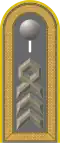 Jacke Dienstanzug Heeresuniformträger Heeresaufklärungstruppe