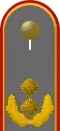 Jacke Dienstanzug Heeresuniformträger General