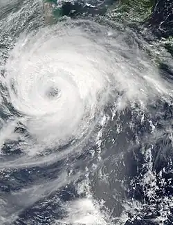 8月7日，正處最高強度、即將登陸華東的颱風海葵