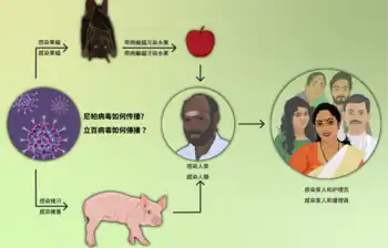 尼帕病毒如何传播