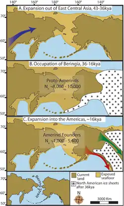 "Three maps of prehistoric America.(A) then gradual population expansion of the Amerind ancestors from their East Central Asian gene pool (blue arrow). (B) Proto-Amerind occupation of Beringia with little to no population growth for ≈20,000 years. (C) Rapid colonization of the New World by a founder group migrating southward through the ice-free, inland corridor between the eastern Laurentide and western Cordilleran Ice Sheets (green arrow) and/or along the Pacific coast (red arrow). In (B), the exposed seafloor is shown at its greatest extent during the last glacial maximum at ≈20–18 kya [25]. In (A) and (C), the exposed seafloor is depicted at ≈40 kya and ≈16 kya, when prehistoric sea levels were comparable.  A scaled-down version of Beringia today (60% reduction of A–C) is presented in the lower left corner. This smaller map highlights the Bering Strait that has geographically separated the New World from Asia since ≈11–10 kya."