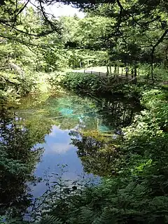 位於樹林間的神之子池