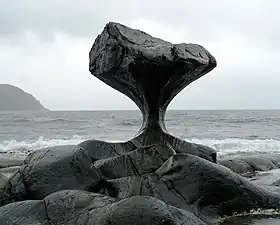 海岸地區的蕈狀岩，位於挪威沃格島