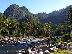 國家公園內的河流