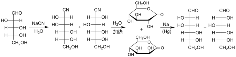 Kiliani-Fischer合成