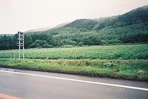 越川站遺址（1998年7月，於國道244號拍攝）