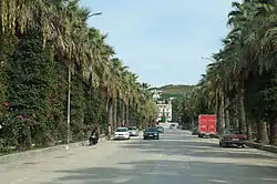 市内的林荫大道