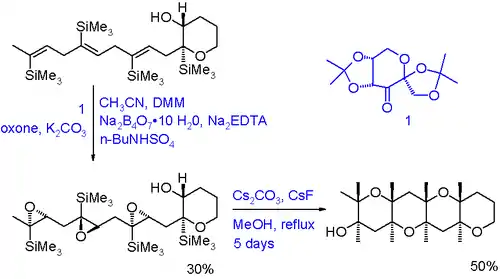 Ladder Polyether Synthesis