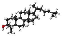 Ball-and-stick model of lanosterol