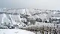 The Lendava Hills (Lendavske Gorice) in winter