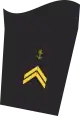 Ärmelabzeichen Dienstanzug Marineuniformträger 70er Verwendungsreihen