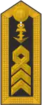 Schulterklappe Dienstanzug Marineuniformträger 20er Verwendungsreihen