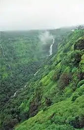 A scenic view of a river valley in the Western Ghats.