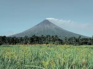 馬榮火山前方的稻田