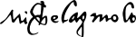 Michelangelo signature