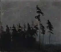 Forest（1907）