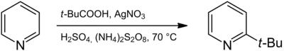 Synthese von 2-tert-Butylpyridin