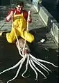 一隻於阿拉斯加捕獲的力士東洋鉤魷（robust clubhook squid／Onykia robusta），其套膜可長達2公尺（6.6英呎）