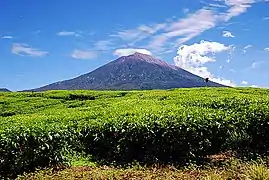 A photograph depicting a blue sky with white clouds at the top, a grey mountain range in the middle, and green foliage at the bottom.