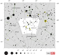 Diagram showing star positions and boundaries of the Musca constellation and its surroundings