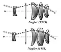 Nagler eyepieces