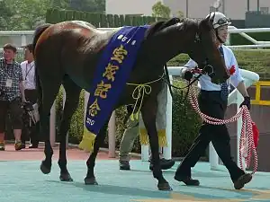 2010年冠軍「中山慶典」