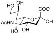 Neuraminic acid