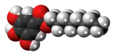 Space-filling model of the octyl gallate molecule